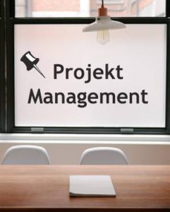 projekt management business consulting